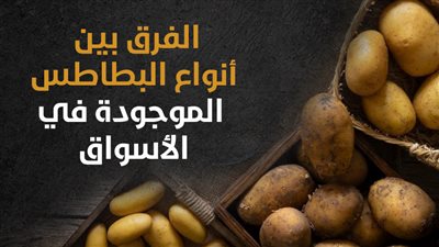 الفرق بين أنواع البطاطس الموجودة في الأسواق (انفوجراف)