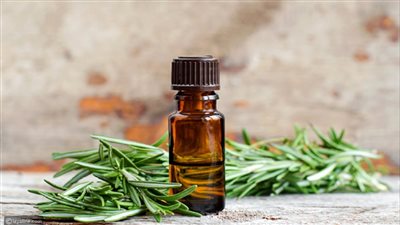 فوائد زيت الروزماري للشعر، يحفز نموه ويعالج القشرة والصلع