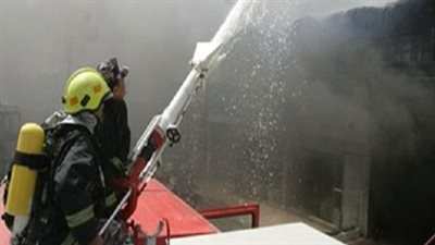 الحماية المدنية تخمد حريقا بمزرعة فاكهة في بني سويف 