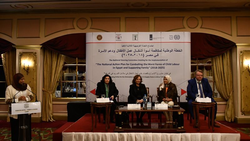 وزارة القوى العاملة،