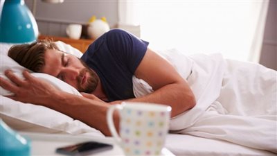 تفسير رؤية الخفاش في المنام وعلاقته بالخلافات الزوجية 