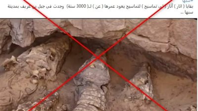 محاولة لسرقة كشف أثري لتماسيح عمرها 3 آلاف سنة بمصر 