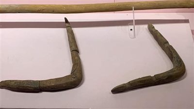 متحف الغردقة يعرض عصا الصيد المرتدة من الأسرة الـ 18 