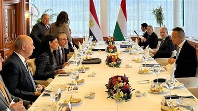 رئيس اقتصادية قناة السويس يلتقي رؤساء شركات صناعات متعددة