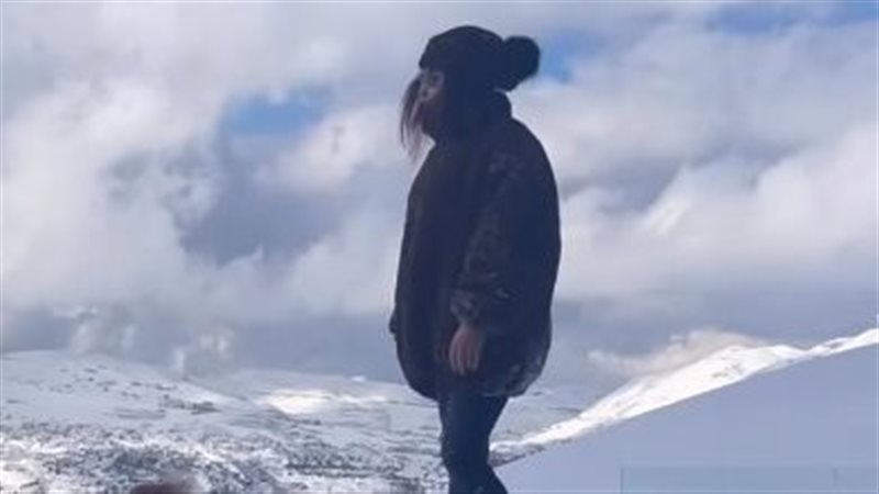 الفنانة إليسا، فيتو
