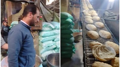 ضبط 3 مخابز تصرفوا في 30 شيكارة دقيق مدعم بالبحيرة (صور)