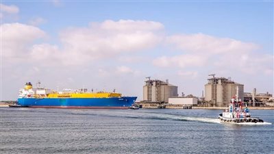 تداول 30 سفينة بضائع متنوعة بميناء دمياط