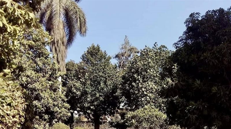 الحديقة المتحفية
