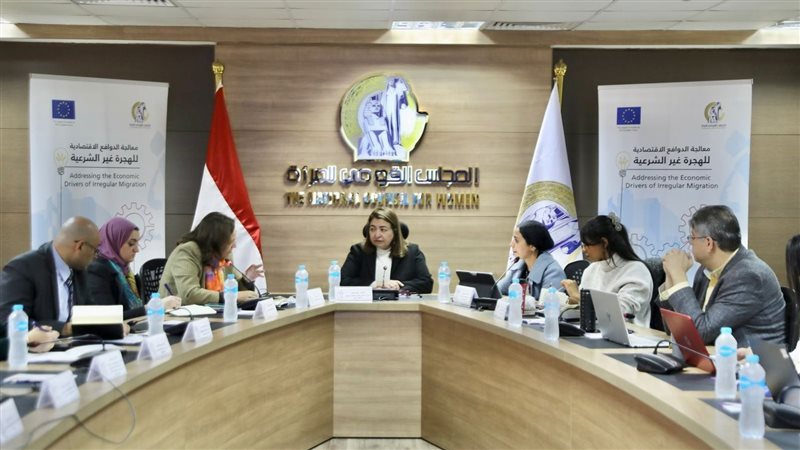 المجلس القومي للمرأة،