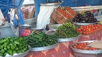 استمرار إقبال المواطنين على معارض أهلا رمضان بمحافظة البحيرة (صور)