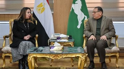 محافظ الشرقية: بحث خطة التطوير الرقمي مع نائب وزير الاتصالات 