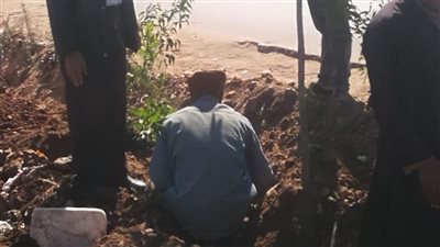 البدء في زراعة 170 ألف شجرة بقنا