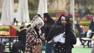 معرض الكتاب، سقوط أمطار خفيفة في آخر أيام المعرض (فيديو وصور)