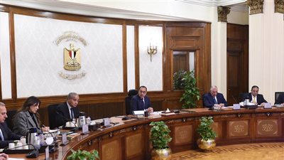 مدبولي يكلف بإعلان سعر التعاقد على محصولي الذرة وفول الصويا