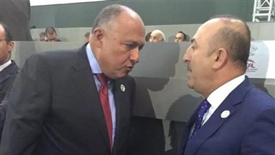 وزير الخارجية يعزي نظيره التركى ويعلن توجيه مصر مساعدات إغاثية لضحايا الزلزال