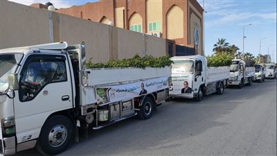 محافظ شمال سيناء يؤكد أهمية المبادرة الرئاسية 100 مليون شجرة (صور)