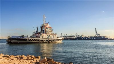 تداول 34 سفينة بضائع متنوعة بميناء دمياط 