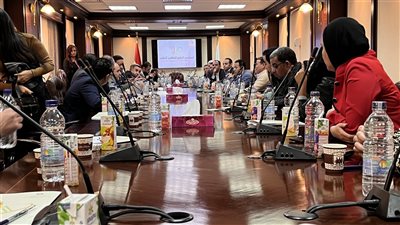 الأعلى للإعلام: إحالة كل الجرائم الإلكترونية إلى النائب العام 