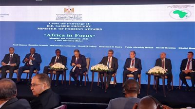 رجال الأعمال: 11 توصية لدفع التعاون الاقتصادي بين مصر وأفريقيا