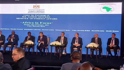 11 توصية من مجتمع الأعمال لدفع التعاون الاقتصادي بين مصر وأفريقيا.. والإعلان عن اتحاد لمنظمات الأعمال الأفريقية