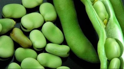 فوائد الفول الحراتي، يعالج الأنيميا ويقلل الكوليسترول وينظم الهضم 