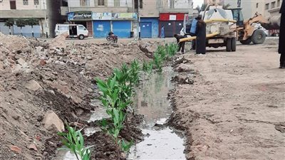 محافظة الشرقية تنظم لجان مرور لإلزام أصحاب الأراضي الفضاء بتسويرها بالأشجار 