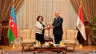 المستشار حنفي جبالي يلتقي رئيسة برلمان أذربيجان