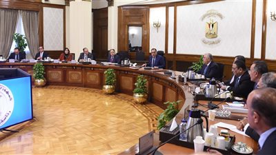أبرزها صرف مبالغ مالية، رئيس الوزراء يكشف مقترحات تحفيز الصادرات المصرية