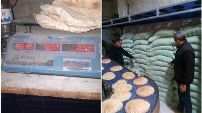 استمرار الحملات الرقابية بجميع مراكز محافظة البحيرة (صور)