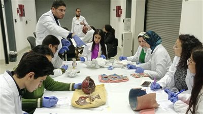 انطلاق فعاليات المدرسة الشتوية للتدريب في علوم الترميم والصيانة بمتحف الحضارة