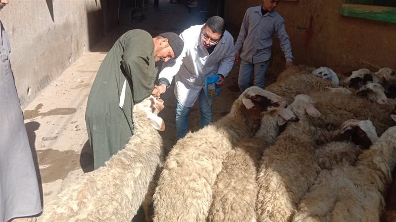 4 قوافل بيطرية مجانية