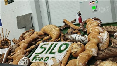 11 معلومة عن مدينة سايلو للمنتجات الغذائية