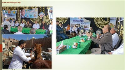 بيطري الشرقية: قافلة بمشاركة المجتمع المدني بقرية هربيط