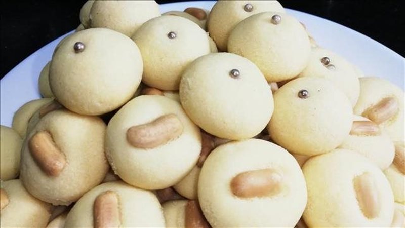 الغريبة، فيتو