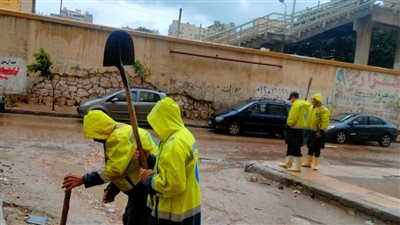 انتشار سيارات الصرف الصحي في شوارع وميادين الإسكندرية 