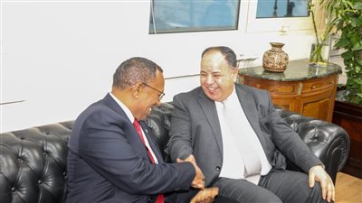 وزير المالية لـ نظيره الصومالي: مستعدون لنقل التجربة المصرية في الضرائب والجمارك