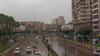 نشاط كبير في حركة الملاحة وتداول البضائع خلال 48 بميناء الإسكندرية 