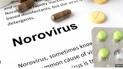 نورو، فيروس شديد العدوى يسجل إصابات عالية بالولايات المتحدة