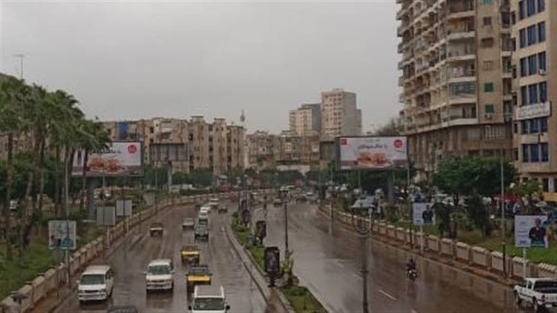 محافظه الاسكندريه،فيتو