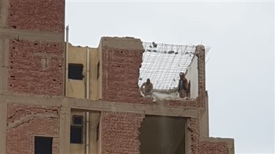  لحظة إزالة برج العروبة المائل بحي الطالبية (صور)