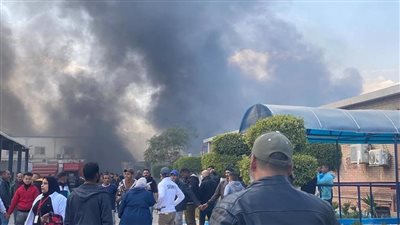 تفاصيل حريق مصنع السويس.. 7 مصابين وخسائر مالية كبيرة.. 9 سيارات إطفاء تشارك في إخماد الحريق.. والنيابة تبدأ التحقيق (فيديو وصور)