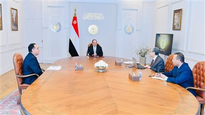 السيسي يكلف بمواصلة تعزيز مشروعات الهيدروجين الأخضر والطاقة المتجددة 