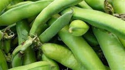 تفسير رؤية الفول الأخضر في المنام وعلاقتها بتخطي الهموم والأحزان 