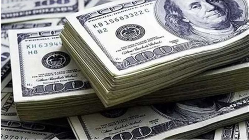 سعر الدولار 