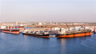 تداول 36 سفينة بضائع متنوعة داخل ميناء دمياط 