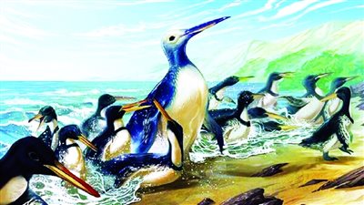  العثور على بقايا بطريق عملاق عاش قبل 50 مليون عام