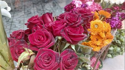 أسعار بوكيه الورد في الفلانتين 2023 (فيديو وصور) 
