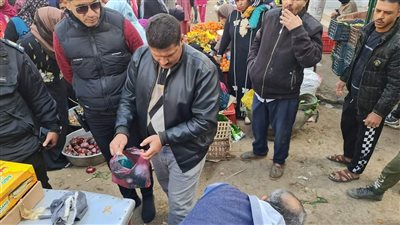 ضبط ٨ أطنان سلع غذائية فاسدة مجهولة المصدر في الجيزة (صور)