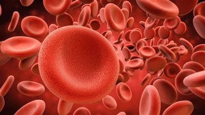 أعراض فقر الدم ونقص فيتامين B12 في الجسم