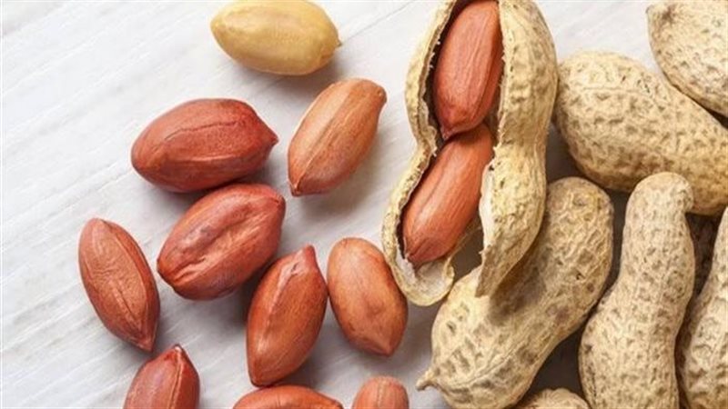 الحساسية من الفول